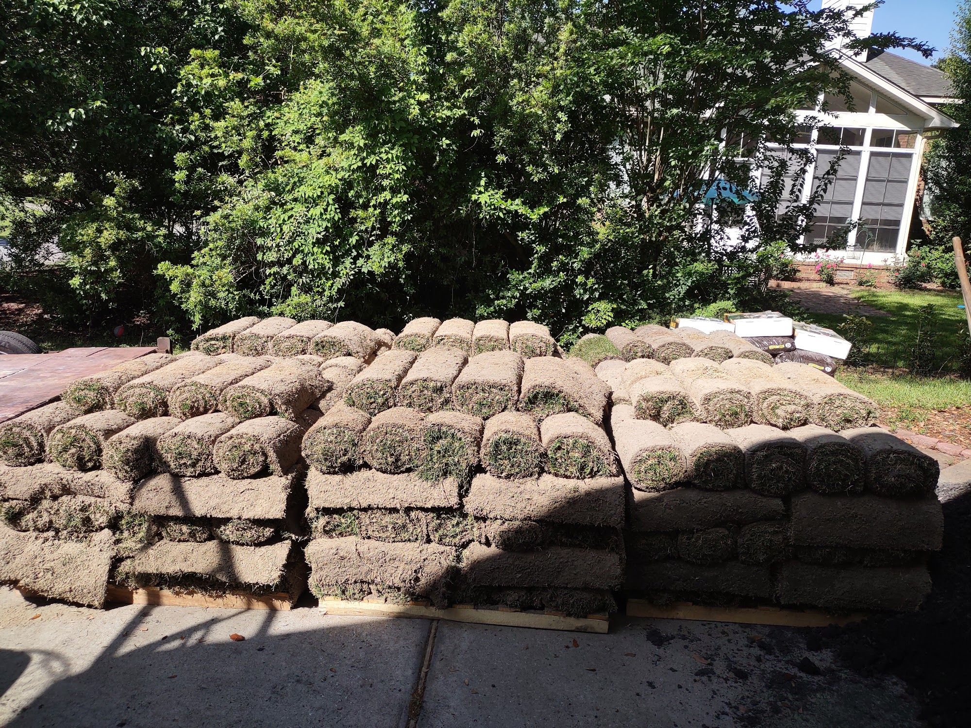 Sod installation