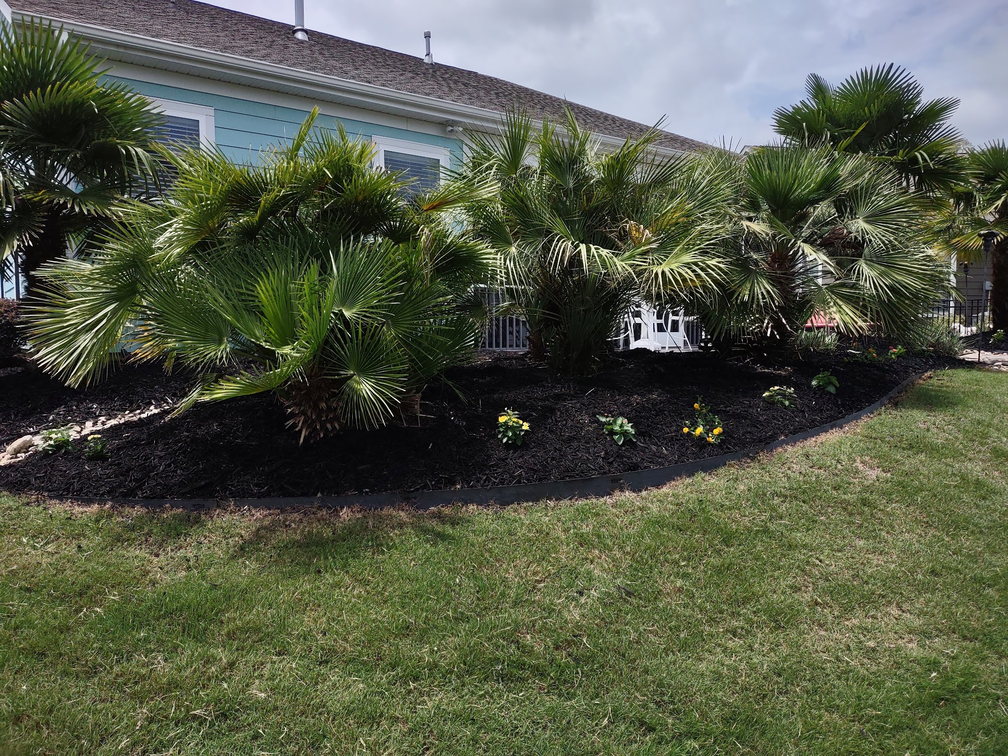 Mulch & palm beds