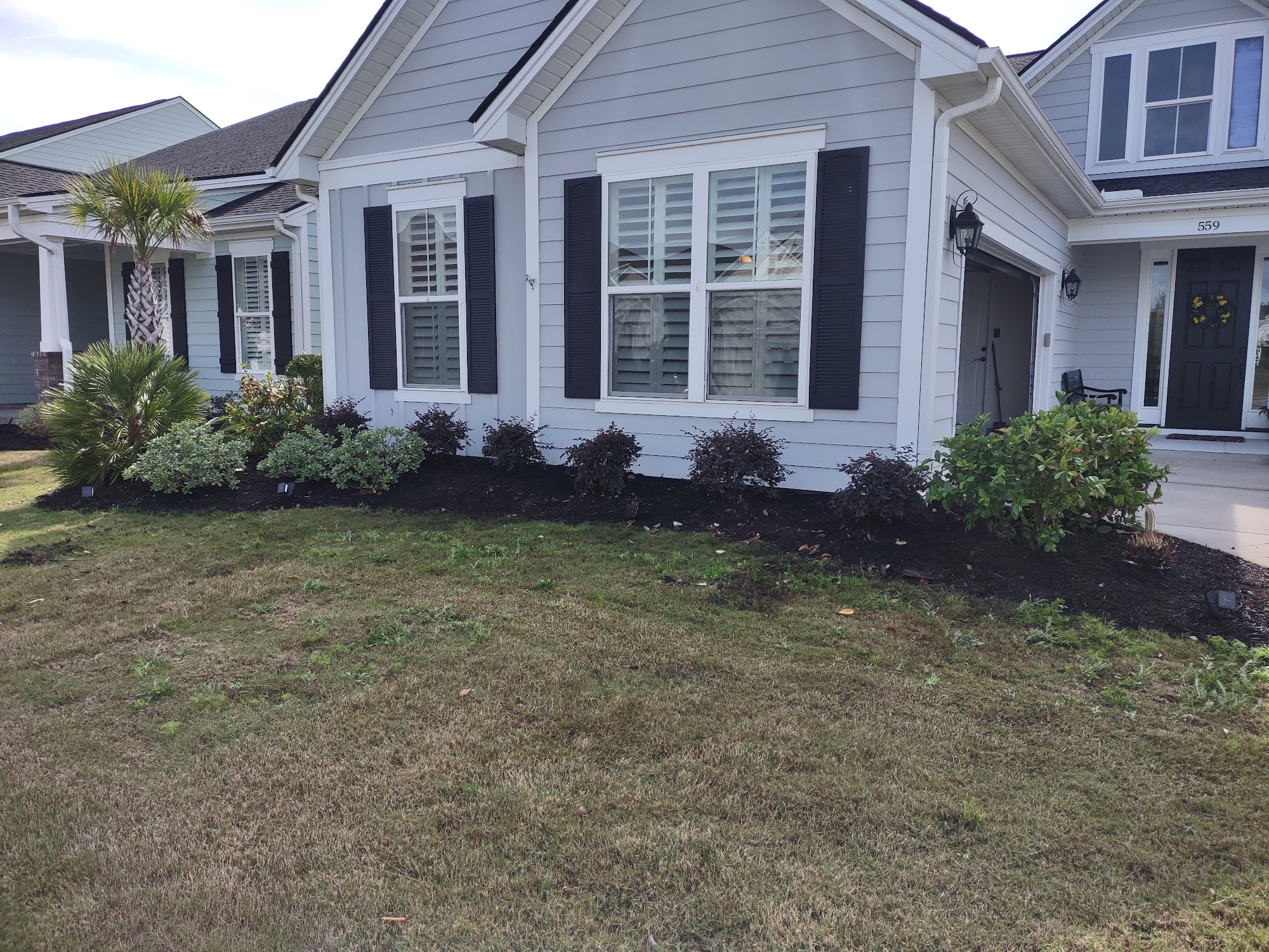 Foundation plantings